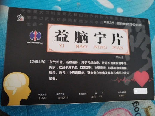 修正益脑宁片招商代理 36片