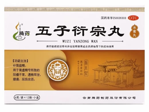 腾药五子衍宗丸招商代理 腾药 12袋