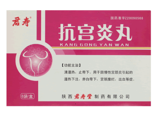 抗宫炎丸