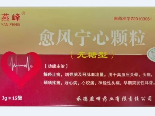 愈风宁心颗粒