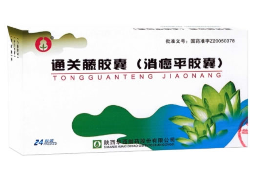 通关藤胶囊(消癌平胶囊)