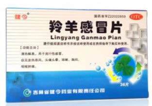 健今羚羊感冒片招商代理 36片 吉林省健今药业