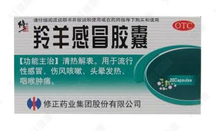 羚羊感冒胶囊招商代理 :羚羊感冒胶囊 0.42g*20粒 修正药业