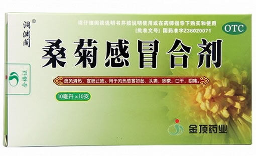 洞渊阁桑菊感冒合剂招商代理 10支