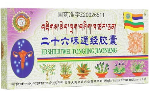 二十六味通经胶囊