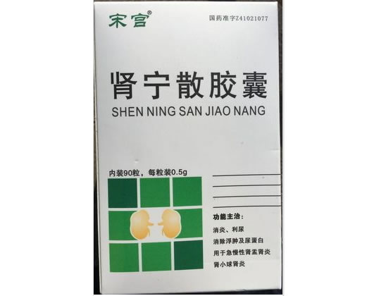 肾宁散胶囊