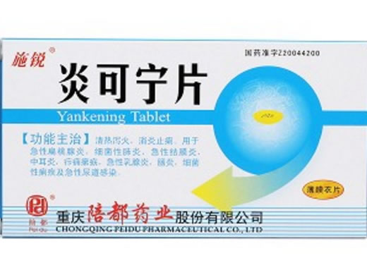 施锐炎可宁片招商代理 24片 陪都药业