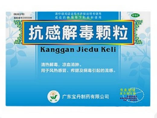 抗感解毒颗粒招商代理 9袋 宝丹制药