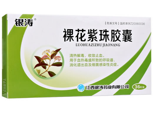 银涛裸花紫珠胶囊招商代理 36粒 银涛