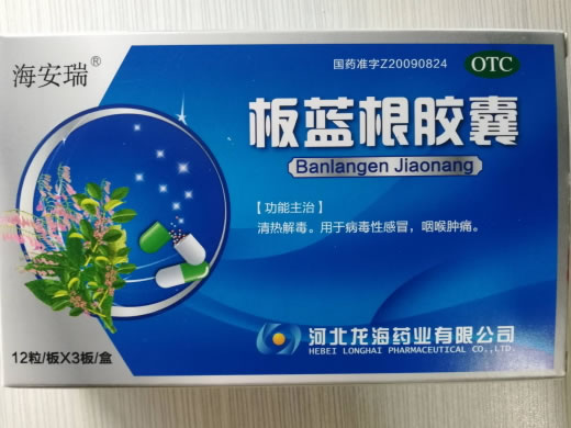 海安瑞板蓝根胶囊招商代理 36粒 河北龙海