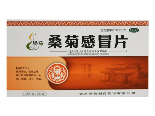 桑菊感冒片招商代理 24片 腾药制药