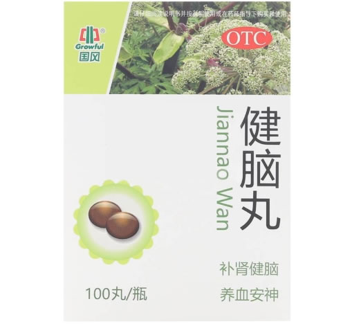 国风健脑丸招商代理 国风