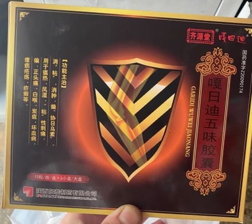 嘎日迪五味胶囊