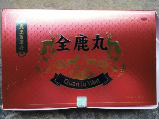 鹿王百草丹全鹿丸招商代理 31袋