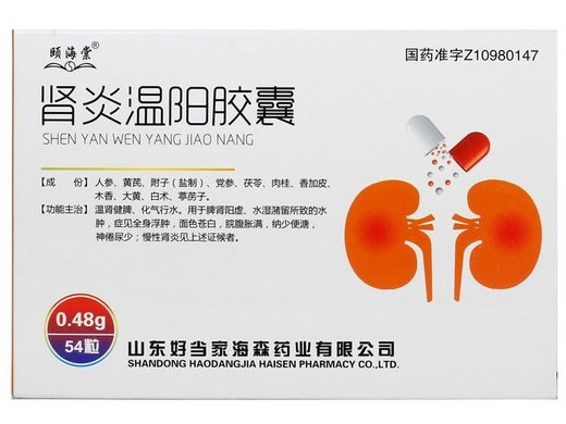 肾炎温阳胶囊