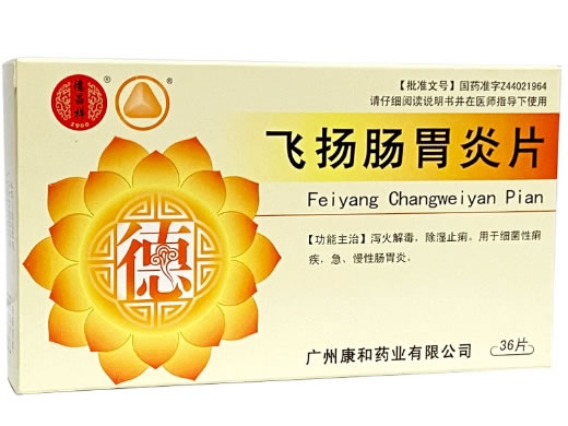飞扬肠胃炎片招商代理 36片 广州康和