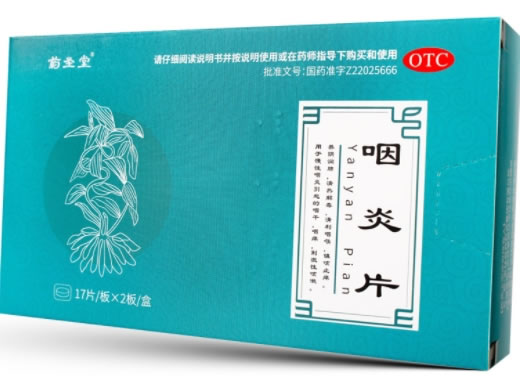 药圣堂咽炎片招商代理 34片