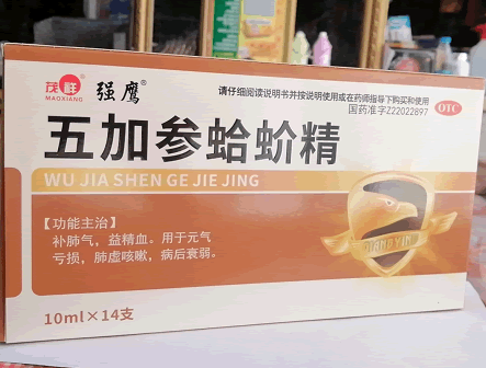 茂祥/强鹰五加参蛤蚧精招商代理 14支