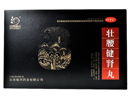 仙河制药壮腰健肾丸招商代理 20袋