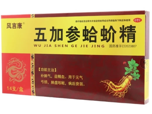 五加参蛤蚧精