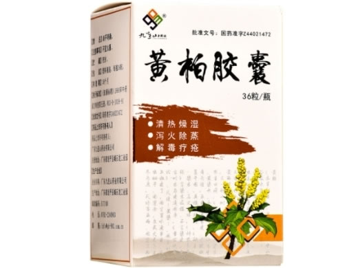 黄柏胶囊