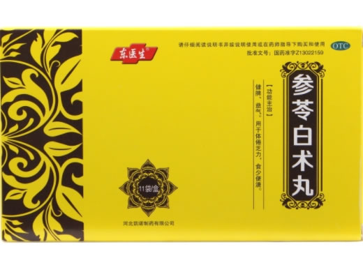 参苓白术丸