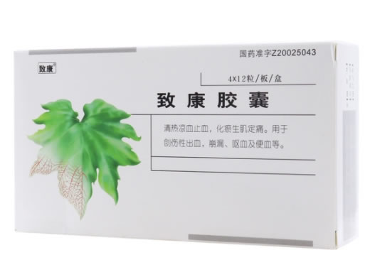 致康胶囊招商代理 48粒 西安千禾