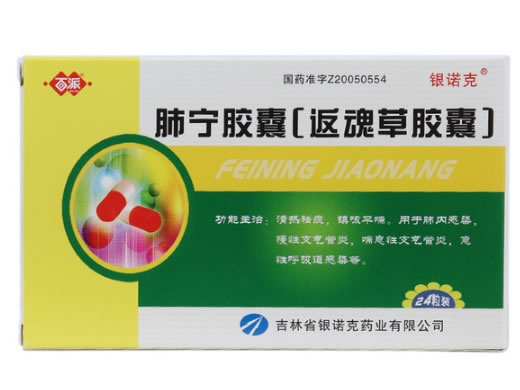 银诺克肺宁胶囊(返魂草胶囊)招商代理 24粒 银诺克