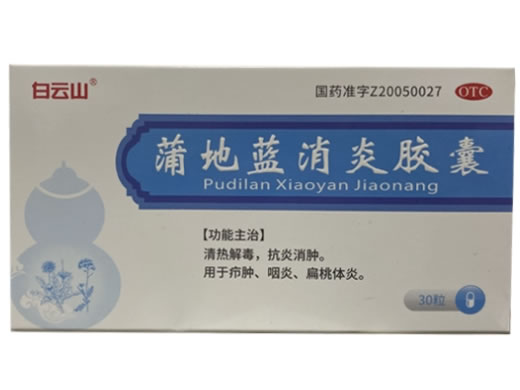 白云山蒲地蓝消炎胶囊招商代理 30粒