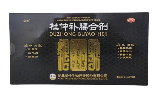 杜仲补腰合剂招商代理 30ml*6瓶