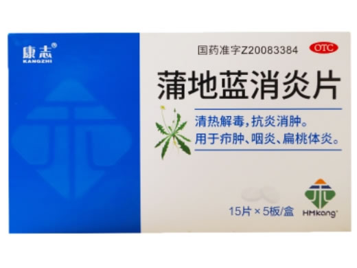 康志蒲地蓝消炎片招商代理 75片