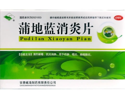 岷州蒲地蓝消炎片招商代理 36片