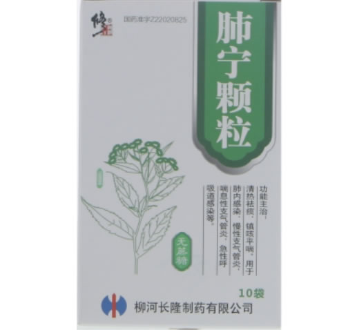 修正肺宁颗粒招商代理 修正 10袋(无蔗糖) RX版