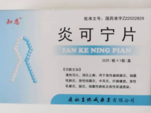 知恩炎可宁片招商代理 20片