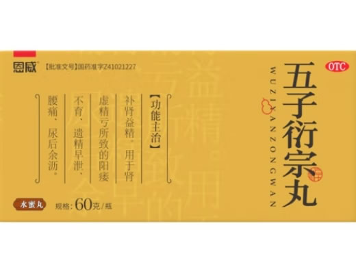 恩威五子衍宗丸招商代理 60g