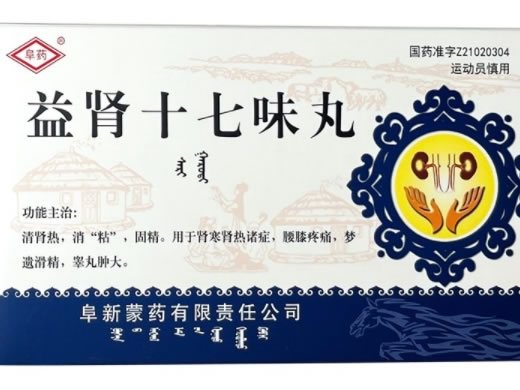 阜药益肾十七味丸招商代理 1.6g*5袋 阜药