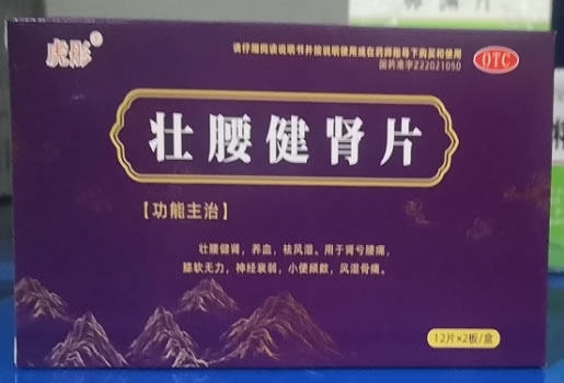 壮腰健肾片招商代理 24片 福辉