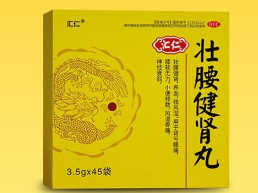 汇仁壮腰健肾丸招商代理 45袋 汇仁