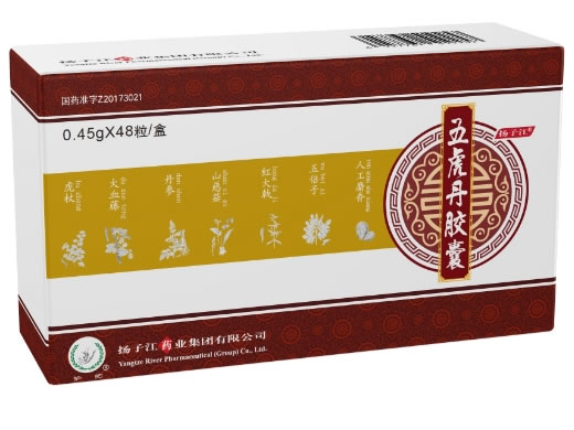 护佑/扬子江五虎丹胶囊招商代理 48粒