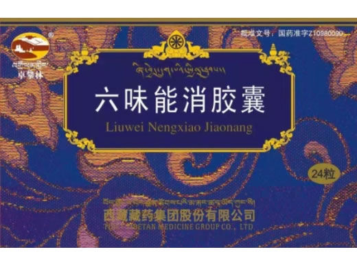 卓攀林六味能消胶囊招商代理 卓攀林 24粒