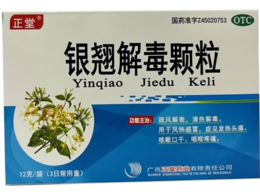 正堂银翘解毒颗粒招商代理 12g*3袋