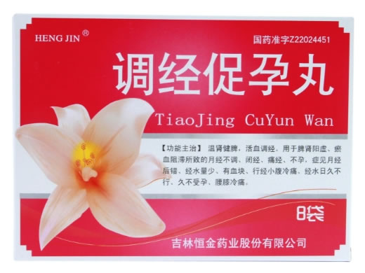 HENGJIN调经促孕丸招商代理 4袋*2小盒 恒金药业