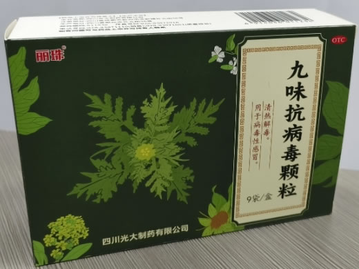 丽珠九味抗病毒颗粒招商代理 9袋 无糖型