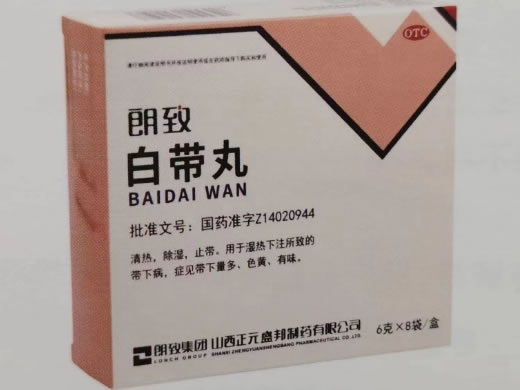 朗致白带丸招商代理 8袋