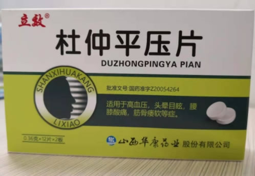 立效杜仲平压片招商代理 24片 立效