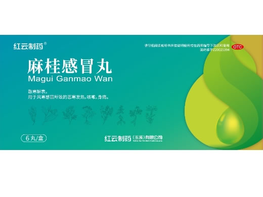 红云制药麻桂感冒丸招商代理 6丸