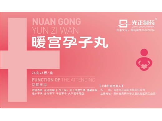 暖宫孕子丸