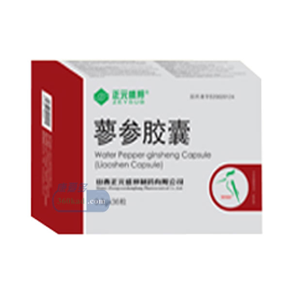 蓼参胶囊招商代理 60粒 正元盛邦