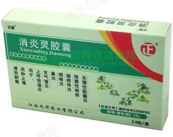 正雪消炎灵胶囊招商代理 24粒 江西九华药业