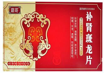 霸哥补肾斑龙片招商代理 32片*6盒